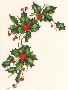 a painting of holly with red berries and green leaves