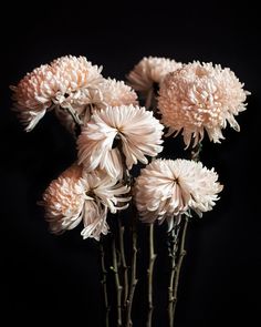 a vase filled with white flowers on top of a table