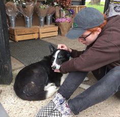 a man petting a black and white dog