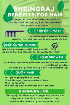 Bhringraj Benefits, Ayurvedic Herbs For Hair, Ayurveda Hair Care, Ayurveda Hair, Ayurvedic Hair Oil, Natural Hair Treatments