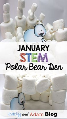 polar bear den stem Polar Bear Unit, Winter Stem Challenges, Polar Bears Activities, Winter Stem, Student Reflection, Penguins And Polar Bears, Stem Lesson, Winter Activity