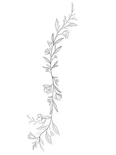 a black and white drawing of a branch with leaves