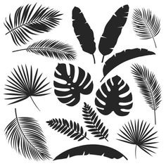 black and white silhouettes of tropical leaves