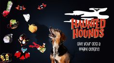 a dog with its mouth open standing in front of some halloween themed items on a black background