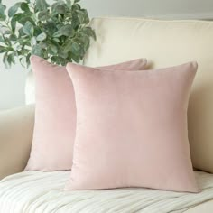 two pink pillows sitting on top of a couch next to a potted green plant