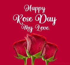 two red roses with the words happy rose day my love on it's side