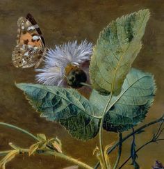 two butterflies sitting on top of a green leafy plant next to a brown and white butterfly