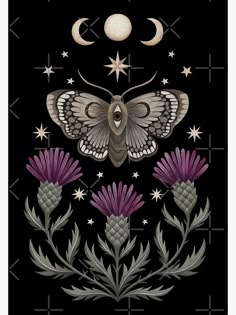 a moth sitting on top of a purple flower next to a moon and star filled sky