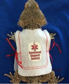 a stuffed animal lizard with an emotial support animal vest on it's back