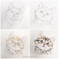 four pictures of cats with different facial expressions on the same page, and one has an image of a cat's face