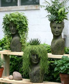 some plants are growing in the shape of heads