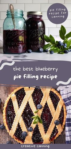 the best blueberry pie filling recipe