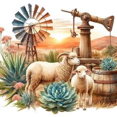 two sheep standing next to each other in front of a windmill and succulents