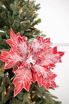 a red and white poinsettia on top of a christmas tree