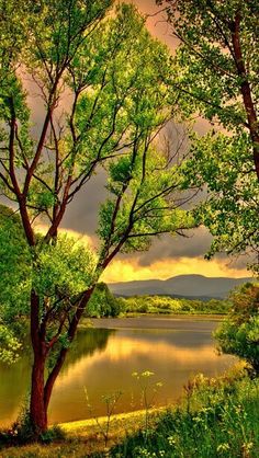 a painting of trees and water with clouds in the background