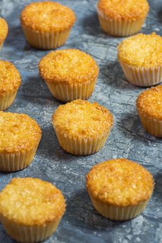 small muffins are lined up on a table