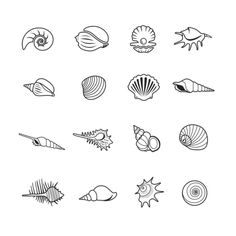 different types of seashells are shown in black and white