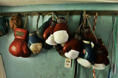 several boxing gloves hanging from hooks on a wall