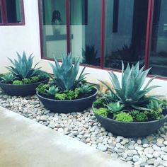 three planters filled with succulents and rocks in front of a building