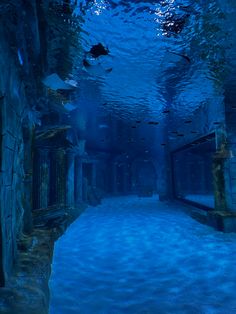 an underwater tunnel with blue water and stone walls