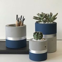 three cement pots with succulents and pencils in them