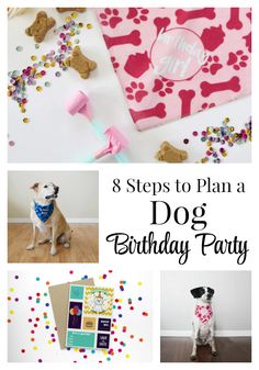 a collage of photos with the words 8 steps to plan a dog birthday party