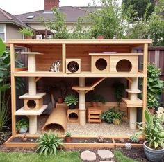 a cat house built into the side of a yard with plants and potted plants