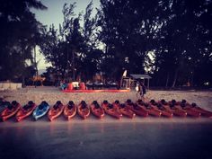 there are many kayaks lined up on the beach