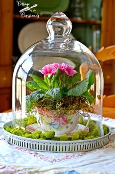 a glass clochet with pink flowers and green plants in it sitting on a table