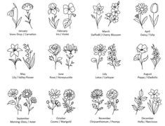 the different types of flowers and their names