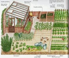 an illustrated diagram of a garden with various plants and tools to grow them in it