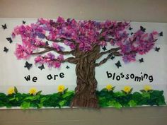 a bulletin board with flowers and butterflies on it that says, we are blossoming