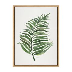 a watercolor painting of a green leaf in a wooden frame on a white wall