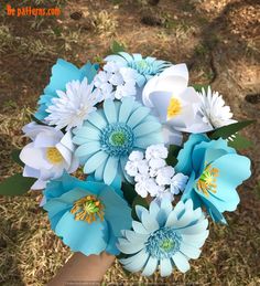 blue and white flowers in someone's hand