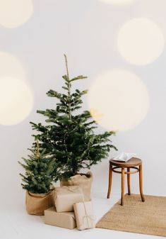 sesja w tasma - Julia Malinovska Photography Minimal Christmas Studio Photos, Christmas Studio Photoshoot Setup, Family Aesthetic Christmas, Family Background Aesthetic, Christmas Aesthetic Photography, Christmas Mini Studio, Christmas Photoshoot Background, Christmas Studio Photoshoot