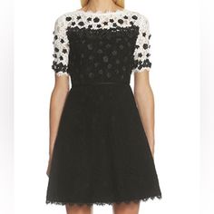 Shani Floral Appliqu Lace Black And White Dress Beautiful 3d Floral Appliqus Short Sleeve Cocktail Dress Fit And Flare Formal, Cocktail, Black, White, Event Length:39 Bust:20.5 Waist:17 Black Short Sleeve Dress With Floral Embroidery, Black Floral Print Mini Dress For Evening, Casual Black Mini Dress With Floral Embroidery, Fitted Black Mini Dress With Floral Embroidery, Black Floral Embroidered Mini Dress For Party, Size 12 Dress, Black N White Dress, Floral Applique, Black Laces