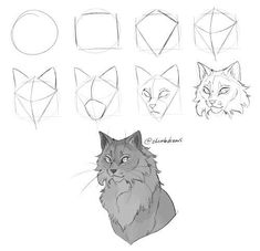 some drawings of cats with different facial shapes and head shapes, including the cat's eyes