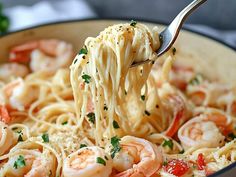 a fork full of pasta with shrimp and parmesan cheese being lifted from it