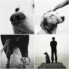 black and white pictures of people, dogs, and the ocean with one person holding his hand