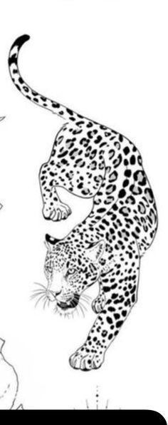 a black and white drawing of a cheetah chasing a leopard