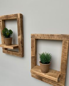 two wooden shelves with plants in them on the wall, one holding a potted plant