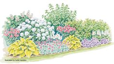 an illustration of a garden with flowers and plants in the foreground, watercolor on paper