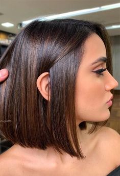 Highlights Brown Hair Short, Rich Brown Hair Color, Highlights Brown Hair Balayage, ليلي كولينز, Brown Bob Hair, Rich Brown Hair, Girl Hair Colors, Brunette Balayage, Brown Hair Balayage