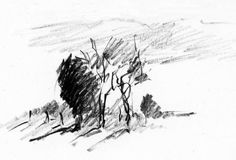 a pencil drawing of trees in the snow