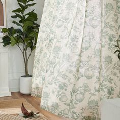 a bathroom with a shower curtain next to a potted plant on the floor in front of it