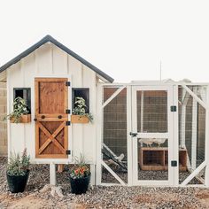 a chicken coop with two chickens in it and some plants on the ground next to it