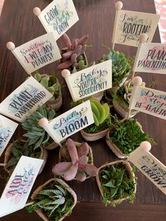 small succulents are arranged in baskets on the table