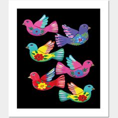 four colorful birds with flowers on black background