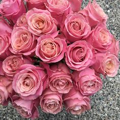 a bouquet of pink roses sitting on the ground