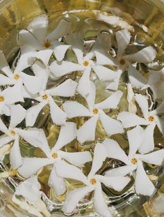 small white flowers floating in water on top of a glass bowl with gold flecks